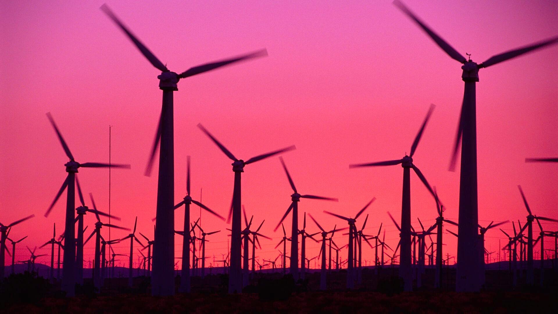 Wind Farm at Dusk